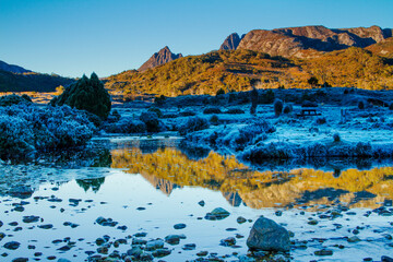 Cradle Mountain from Ronny Creek at sunrise during a frost with an Alpine Glow on Cradle Mountain, Cradle Mountain National Park, Tasmania, Australia