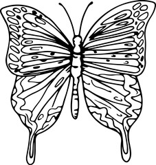 Hand drawn butterfly illustration, Transparent background.
