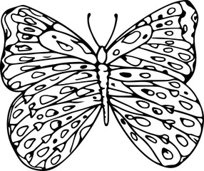 Hand drawn butterfly illustration, Transparent background.
