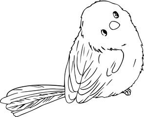 Hand drawn bird illustration, Transparent background.

