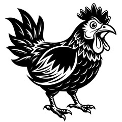 rooster illustration