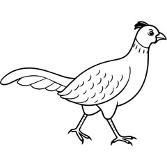 dove of peace