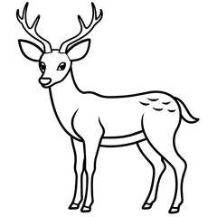 deer illustration