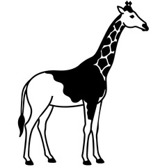 giraffe vector illustration