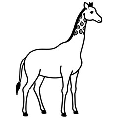 giraffe vector illustration