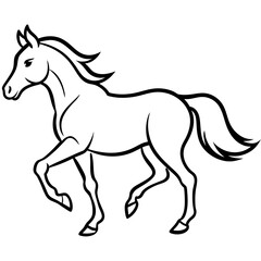 horse illustration