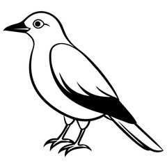 illustration of a bird