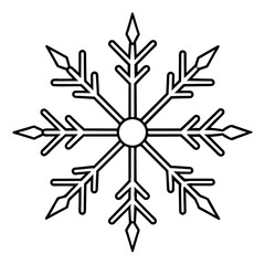 Obraz premium snowflake
