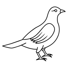 dove of peace