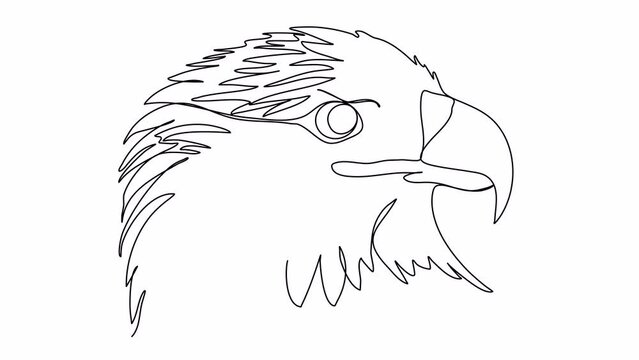 Eagle. One line drawing animation. Video clip with alpha channel.
