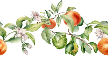 Grapefruit and bergamot on branches of fruit tree seamless border isolated . Watercolor citrus...