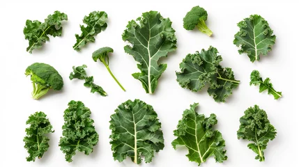 Poster Top view of fresh kale leaves isolated on a white background, showcasing the lush, dark green texture and natural curly edges of this nutritious leafy green. Perfect for health-focused content © Aleksandra
