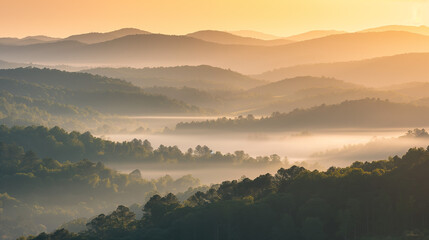 The golden hue of sunrise sets a warm and mystical tone over the foggy forested mountains - obrazy, fototapety, plakaty