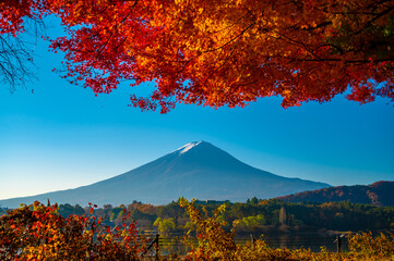 mountain and autumn leaves
