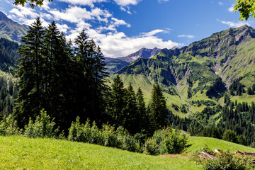 Fototapeta na wymiar Alpenlandschaft mit Bäumen