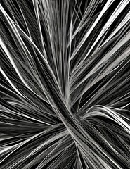 Obraz premium black abstract background