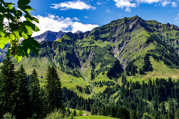 Wald und Alpen
