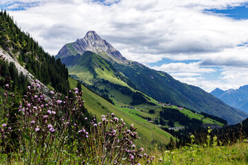 Alpenblick im Vorarlberg