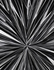 black abstract background