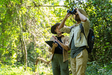 Ecologist,national park,forester,environmental conservation concept.Woman and man park ranger in uniform looks through binoculars and monitoring the forest area in summer or autum.