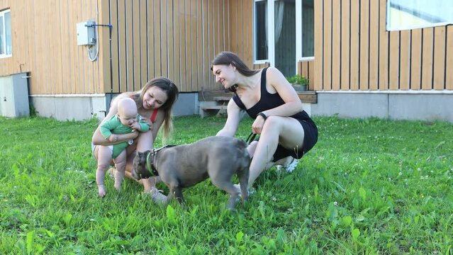 Young women with baby and dog communicate on lawn near country house.