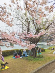 Papier Peint photo autocollant Le pont Kintai 満開の桜　錦帯橋　