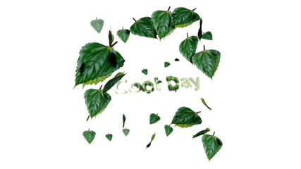 leaves With Text Cool day