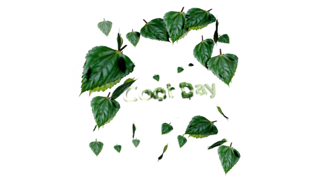 leaves With Text Cool day