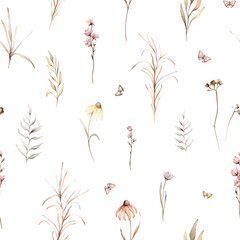 seamless pattern with watercolor botanical autumn illustration echinacea branches flowers. Autumn floral illustration. Fall vibes. Hand painted drawing isolated background. floral herds pastel color - obrazy, fototapety, plakaty