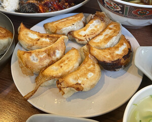 fried dumpling