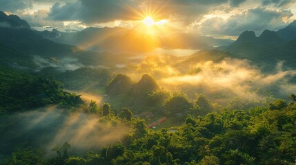 Sun Shining Through Clouds in Jungle
