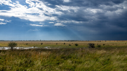 Landscape on a windy day with darks clouds on a farm near Bultfontein in the Orange Free State,...