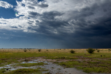 Landscape on a windy day with darks clouds on a farm near Bultfontein in the Orange Free State,...