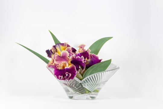 Red, Pink, Gold Colored Bearded Iris in Heart-Shaped Crystal Bowl, White Background, horizontal-no people