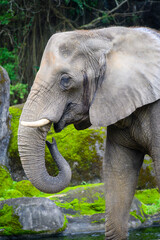 Animals in Taipei Zoo during winter