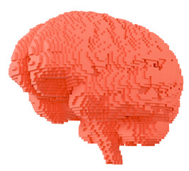 Voxel Brain Analysis: 3D voxel-style brains (pink) on a transparent background is ideal for brain illustration and analysis projects