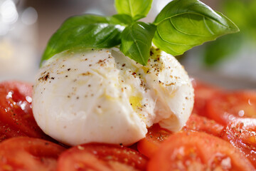 Mozzarella salad with tomatoes and basil - 781851435