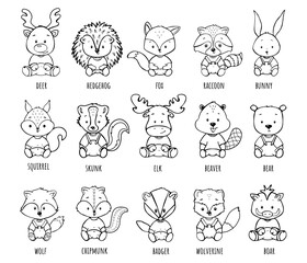 woodland animals vector collection of children's illustrations coloring book