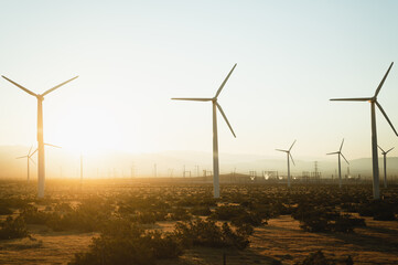 Obraz premium Field of wind turbines against blue sky at sunrise, energy concept