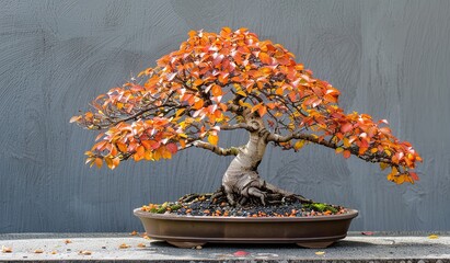 Vibrant autumn bonsai tree in full orange foliage