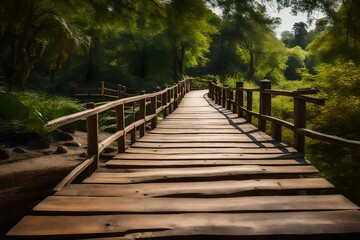 wooden walk way in the park, wooden bridge, wooden path in the tourist park
