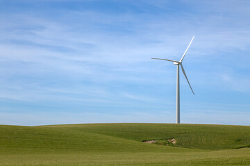 Wind energy turbine in a green crop meadow, with copy space