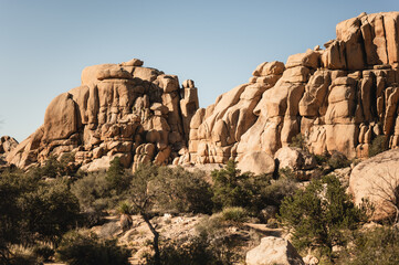 Fototapeta premium Rock formations at Joshua Tree National Park in the springtime