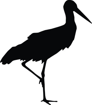recommend clip art: Stork