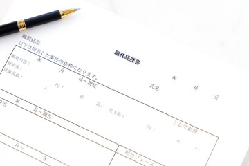 転職活動のために職務経歴書を準備する
