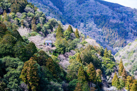 parques en japon