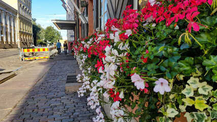 flower stand with white and red flowers  on a street in the city center of helsinki finland on a...
