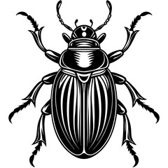 black and white beetle -Vector illustration