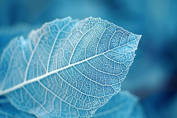 The Veins of Nature A Close-up View of a Leaf's Vascular System Generative AI