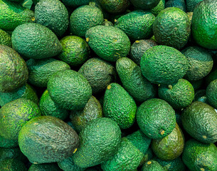 Green avocados on a counter in a market as an abstract background. Texture